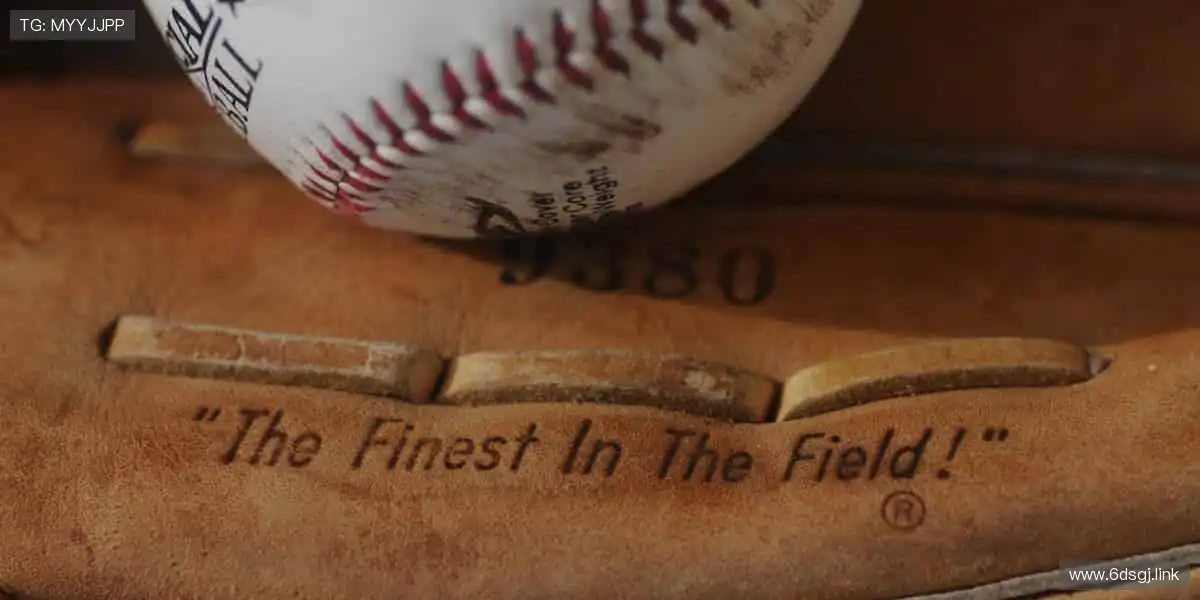 炫彩世界,尽情享受!✨🎞️